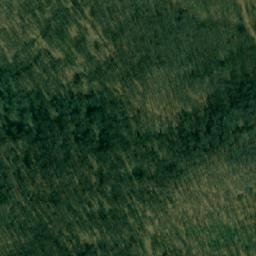 Satellite imagery of Bresjanska Kosa, RS