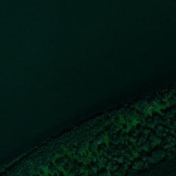 Satellite imagery of TT1, RO