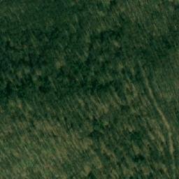 Satellite imagery of Bresjanska Kosa, RS