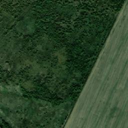 Satellite imagery of TT11/XII/, RO
