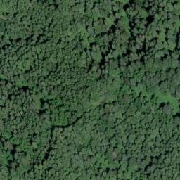 Satellite imagery of Skagit Ridge, US