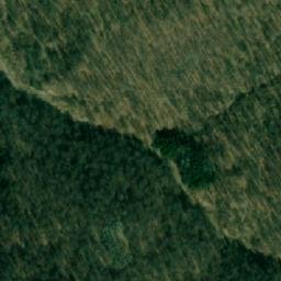 Satellite imagery of Bresjanska Kosa, RS