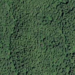 Satellite imagery of Skagit Ridge, US