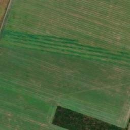 Satellite imagery of TT19, RO