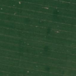 Satellite imagery of TT19, RO