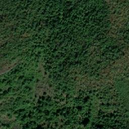 Satellite imagery of Šopur, RS