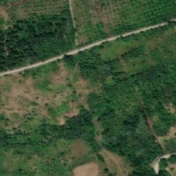 Satellite imagery of TT11/3/, RO