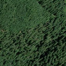 Satellite imagery of Harvey Point, US