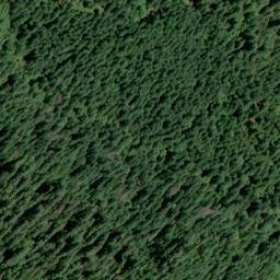 Satellite imagery of Harvey Point, US
