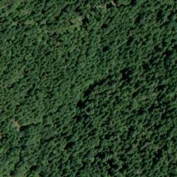 Satellite imagery of Harvey Point, US