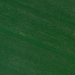 Satellite imagery of TT46, RO