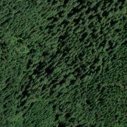 Satellite imagery of Harvey Point, US