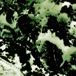 Satellite imagery of Debelo Brdo, BA