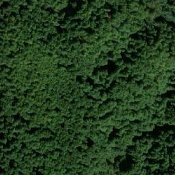 Satellite imagery of Homut, BA