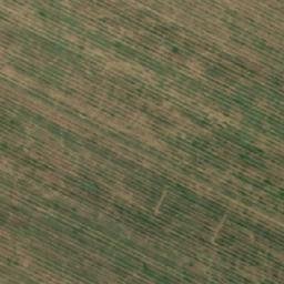 Satellite imagery of TT14/IX/, RO