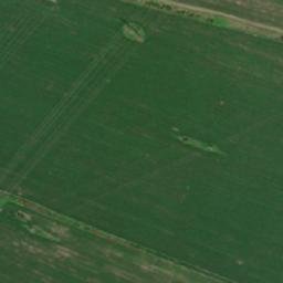 Satellite imagery of TT40, RO