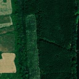 Satellite imagery of TT31, RO