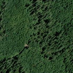Satellite imagery of Harvey Point, US