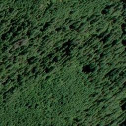 Satellite imagery of Harvey Point, US