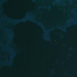 Satellite imagery of Hrid Ročni, HR