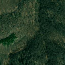 Satellite imagery of Javorče, RS