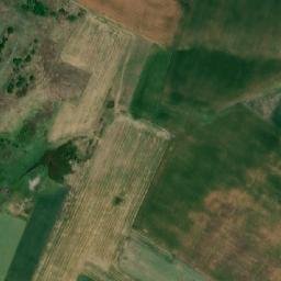 Satellite imagery of TT56, RO