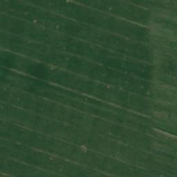 Satellite imagery of TT20/X/, RO