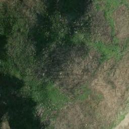Satellite imagery of Bunchgrass Ridge, US
