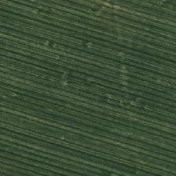 Satellite imagery of TT2356, RO