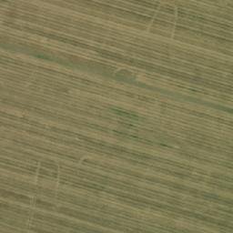 Satellite imagery of TT53, RO