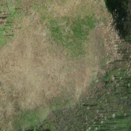 Satellite imagery of Bunchgrass Ridge, US