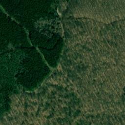 Satellite imagery of Svinjski Deo, RS