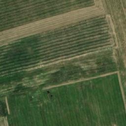 Satellite imagery of TT63, RO