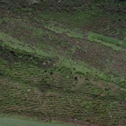 Satellite imagery of TT45, RO