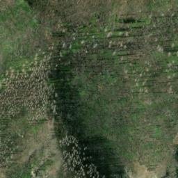 Satellite imagery of Bunchgrass Ridge, US