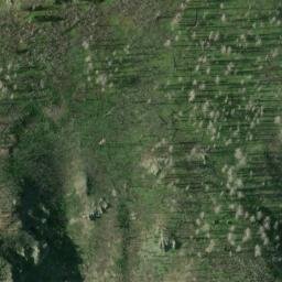 Satellite imagery of Bunchgrass Ridge, US
