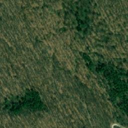 Satellite imagery of Svinjski Deo, RS