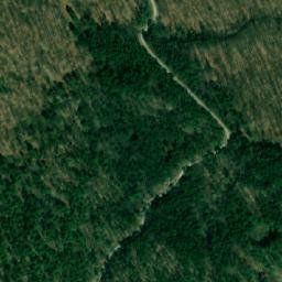 Satellite imagery of Svinjski Deo, RS