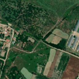Satellite imagery of TT37, RO