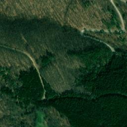 Satellite imagery of Svinjski Deo, RS