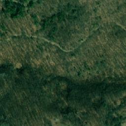 Satellite imagery of Svinjski Deo, RS
