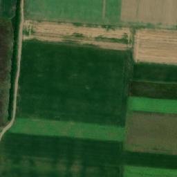 Satellite imagery of TT56, RO