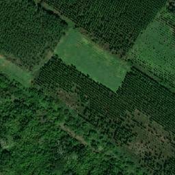 Satellite imagery of TT4/XXIV/, RO