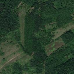 Satellite imagery of Kopčožina, RS