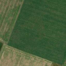 Satellite imagery of TT10/XXIV/, RO