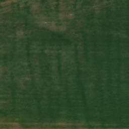 Satellite imagery of TT62, RO