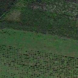 Satellite imagery of TT5/XXIV/, RO