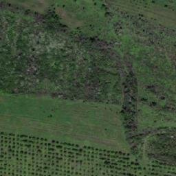 Satellite imagery of TT5/XXIV/, RO