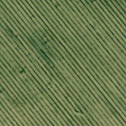 Satellite imagery of TT17, RO