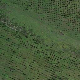 Satellite imagery of TT5/XXIV/, RO